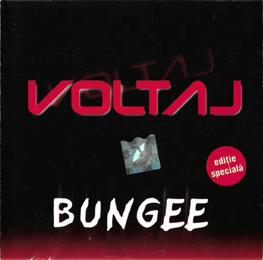 Bungee