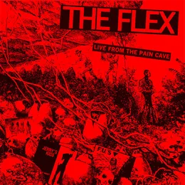 Live From The Pain Cave von The Flex – Cover