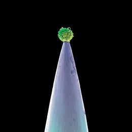New Blood von Peter Gabriel – Album Cover
