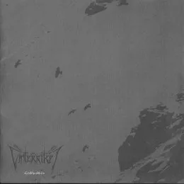Lichtschleier von Vinterriket – Album Cover