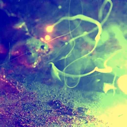 Northern Lights ζ Mizar von ovuca – Album Cover