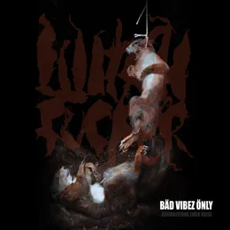 Bäd Vibez Önly: Aufarbeitung einer Krise von Witchfucker – Album Cover