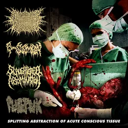 Splitting Abstraction Of Acute Conscious Tissue von Propitious Vegetation – Album Cover