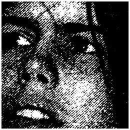 Summer of Hate von Crocodiles – Album Cover