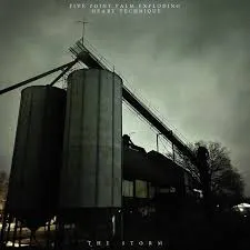 The Storm von Five Point Palm Exploding Heart Technique – Album Cover