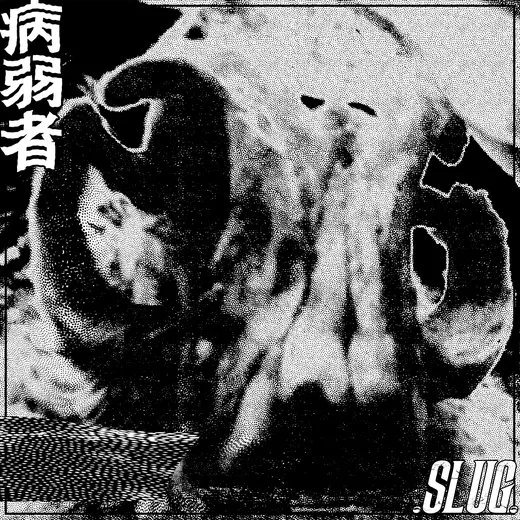 .Slug.
