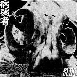 .Slug. von Inva//id – Cover