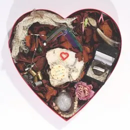 I Have Become Your Pupil von The HIRS Collective – Album Cover