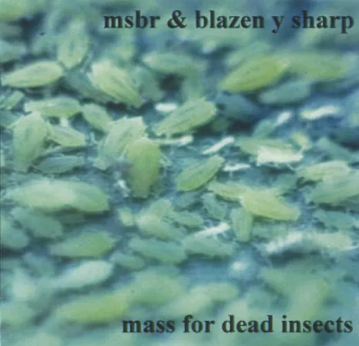 Mass for Dead Insects