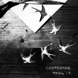 '14 von состояние птиц – Cover