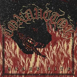 Snake Bite von Conductor – Cover