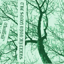 The Snow Upon My Limbs von Wandlimb – Cover