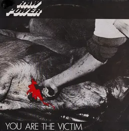 You Are the Victim von Raw Power – Album Cover