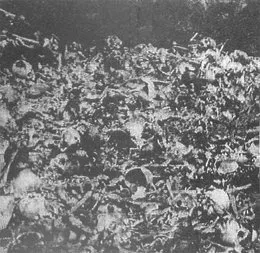 Weapon Syntax von Maim – Album Cover