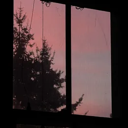 home von foxtails – Cover