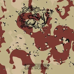 Sickness in the Right / Gulf War Syndrome von The Grey Wolves – Album Cover