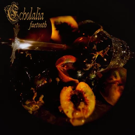 Echolalia von Faetooth – Cover