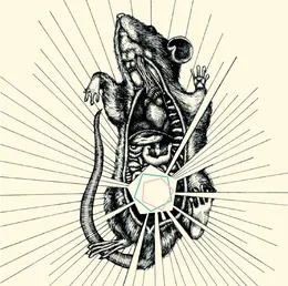 River, Bear Your Bones von Capricorns – Album Cover