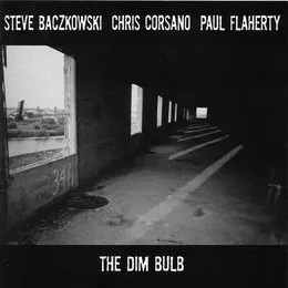 The Dim Bulb von Paul Flaherty – Album Cover