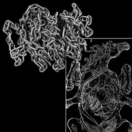 Christmas in Sodom von BBBBBBB – Cover