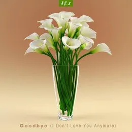 Goodbye (with So Sus) von Asan – Cover