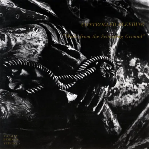 Music From the Scourging Ground