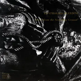Music From the Scourging Ground von Controlled Bleeding – Album Cover