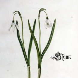 Gyönge hóvirág von Shum – Album Cover