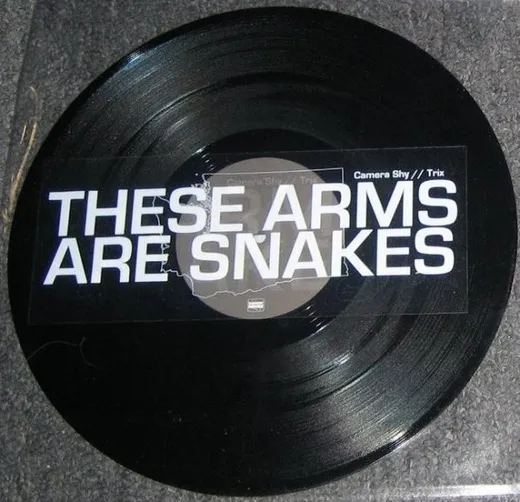 These Arms Are Snakes / Russian Circles