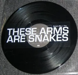 These Arms Are Snakes / Russian Circles von Russian Circles – Cover