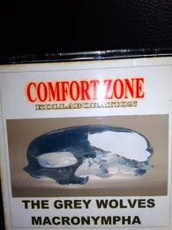 Comfort Zone Kollaboration von The Grey Wolves – Album Cover