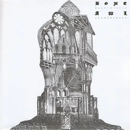 Meaningless Leaning Mess von Bone Awl – Album Cover