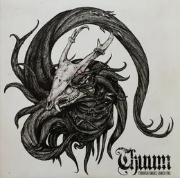 Through Smoke, Comes Fire von Thuum – Cover