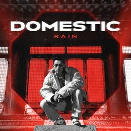 DOMESTIC von RAIN – Cover
