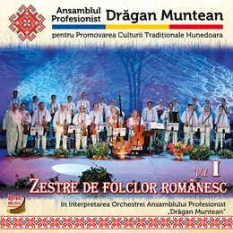 Zestre de folclor românesc Vol. I von Drăgan Muntean – Album Cover