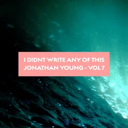 I Didn't Write Any of This (Vol. 7) von Jonathan Young – Album Cover
