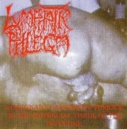 Malignant Cancerous Tumour in the Epithelial Tissue of the Intestine / From Rotten Process... To Splatter von Lymphatic Phlegm – Album Cover