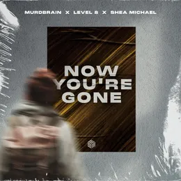 Now You’re Gone von Level 8 – Cover