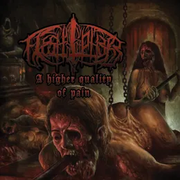 A Higher Quality of Pain von Fleshsphere – Album Cover