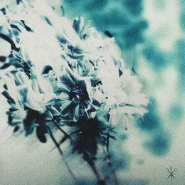 Death of Me von PROMPTS – Album Cover