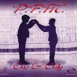 One & Only / Dreams von PFM – Cover