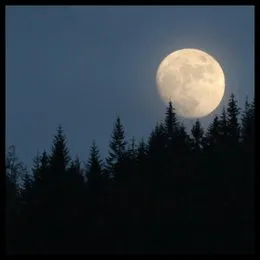 Demo von Acheulean Forests – Album Cover