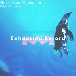 Aquamarine (extended) von Next Tribe – Cover