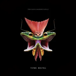 Time Being von Tony Buck – Album Cover