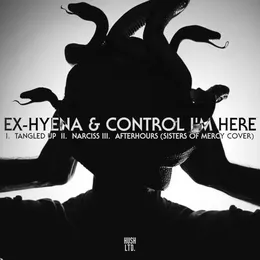 Tangled Up / Narciss / Afterhours von Control I’m Here – Cover