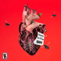 WHY von Andy the Core – Album Cover