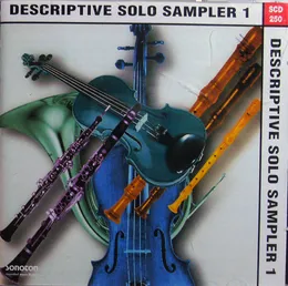 Descriptive Solo Sampler 1 von Otto Sieben – Album Cover