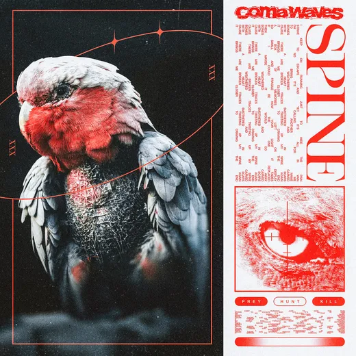 Spine