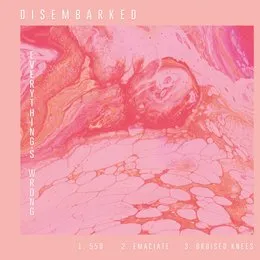 Everything's Wrong von Disembarked – Album Cover