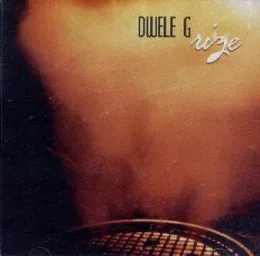 Rize von Dwele – Album Cover